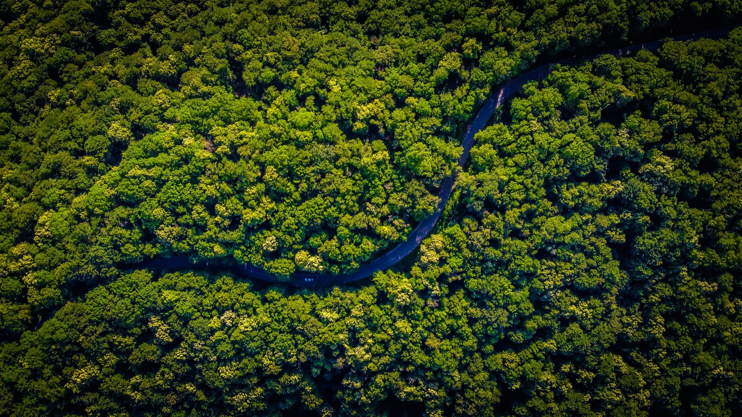 Brasil tiene una gran oportunidad en la transición hacia una economía de bajo carbono