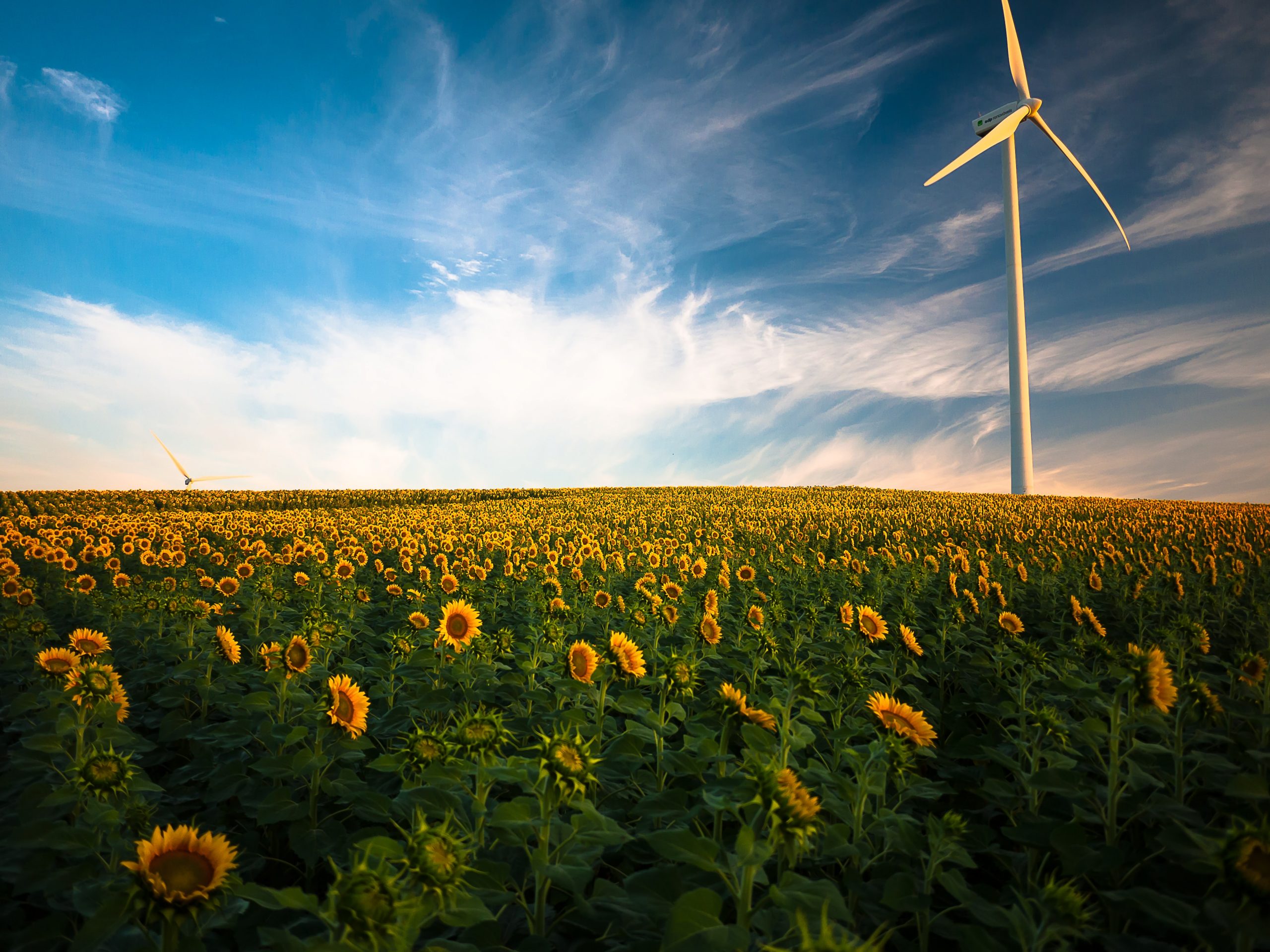 Un estudio cifra la inversión en energías renovables que se necesita para alcanzar los objetivos de emisiones cero en 2050