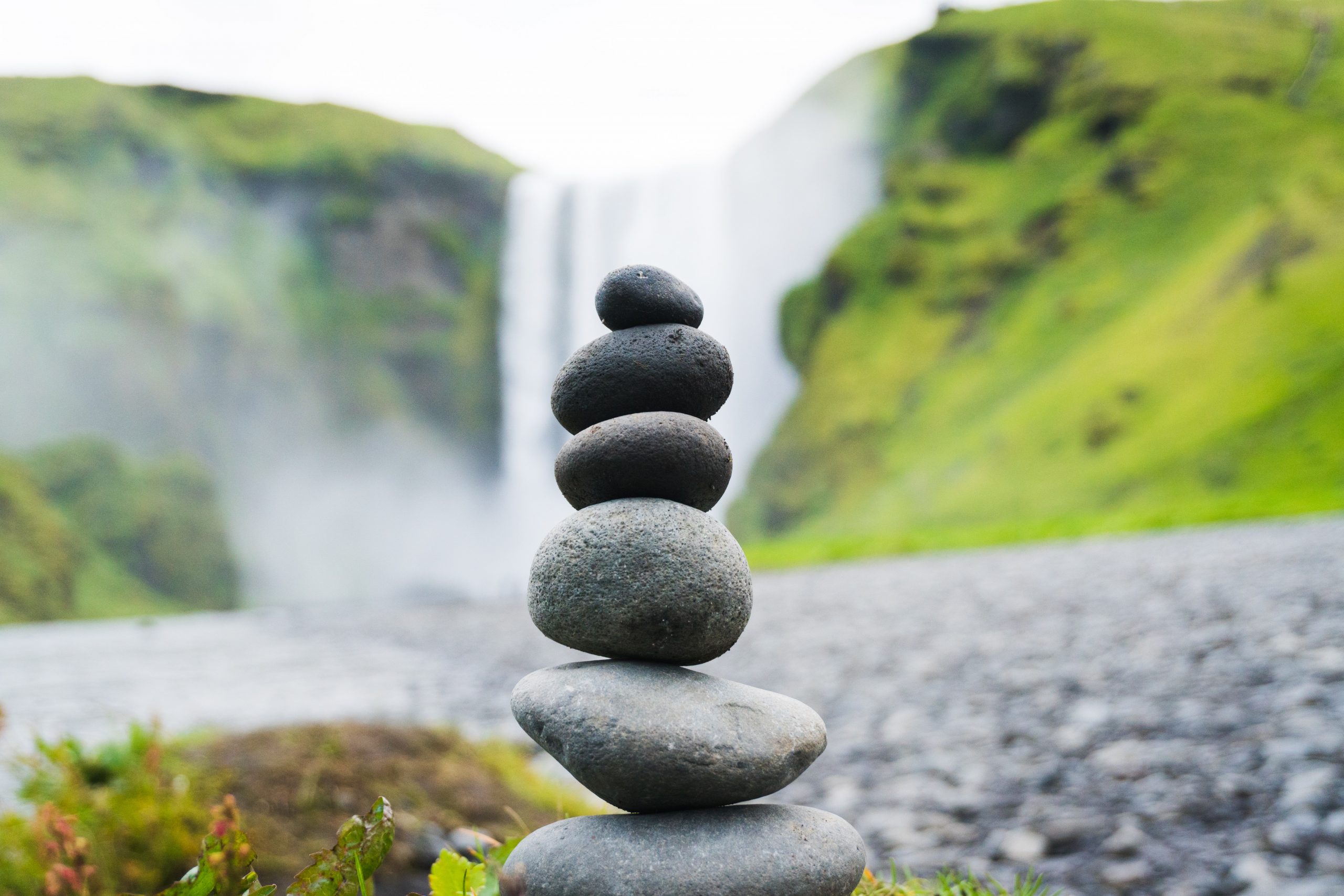 Los bonos verdes crecen. Foto de Martin Sanchez en Unsplash